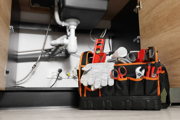 Best Local Plumber Services  in Carver, MN