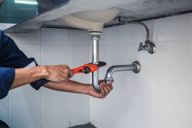 Best Commercial Plumbing Services  in Carver, MN
