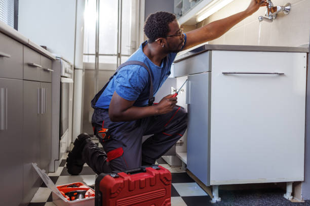 Best Plumbing Inspection Services  in Carver, MN